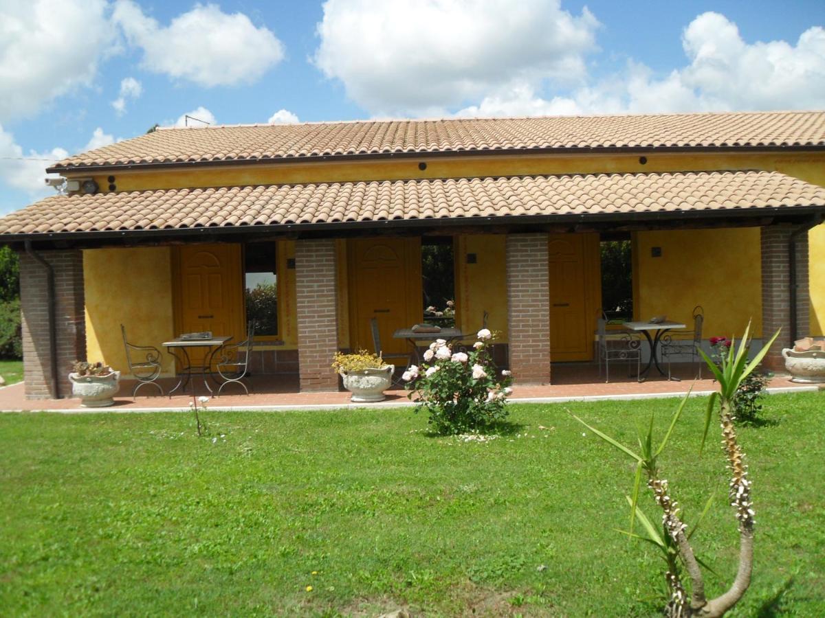 Agriturismo Il Prataccio Ischia di Castro Exteriör bild